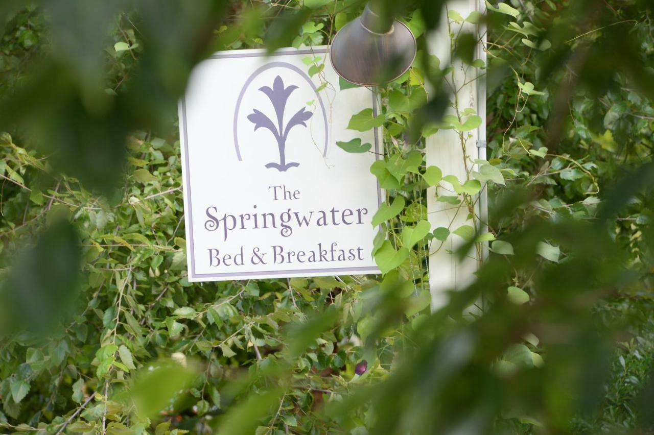 The Springwater Bed And Breakfast Saratoga Springs Eksteriør bilde