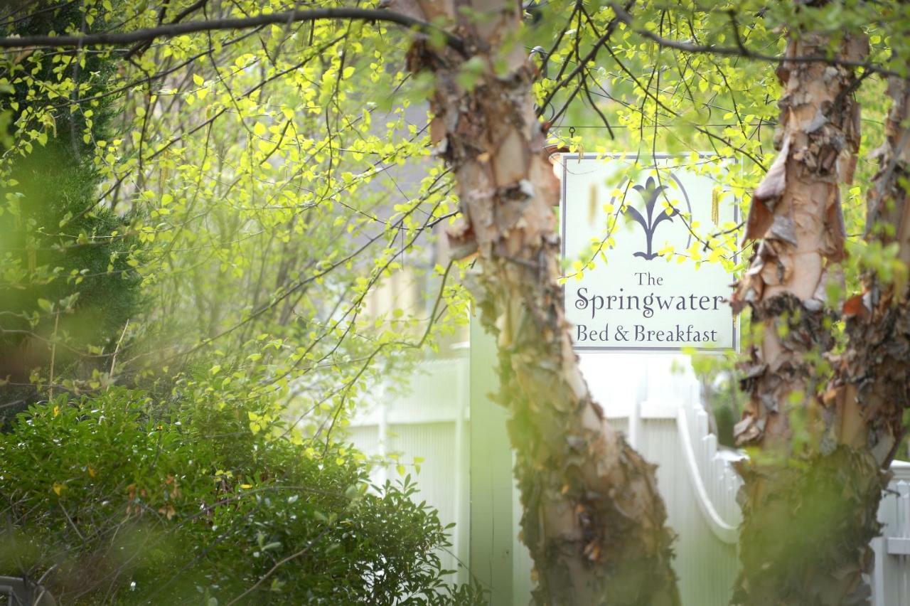 The Springwater Bed And Breakfast Saratoga Springs Eksteriør bilde